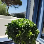 το σπιτάκι To Spitaki τhe Little House Holiday home