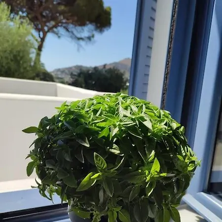 το σπιτάκι To Spitaki τhe Little House בית נופש