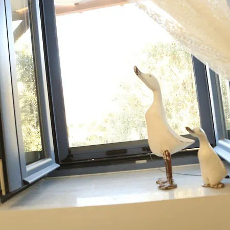 το σπιτάκι To Spitaki τhe Little House Panormos (Kalymnos)