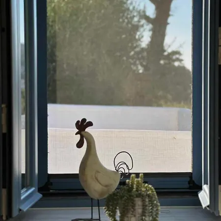 το σπιτάκι To Spitaki τhe Little House בית נופש