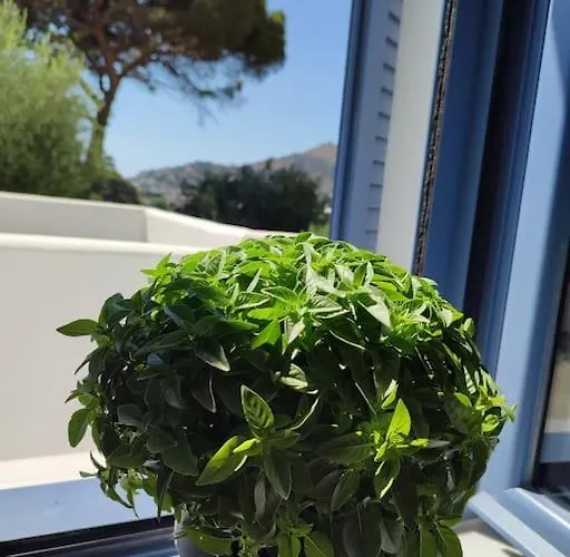 το σπιτάκι To Spitaki τhe Little House Casa vacanze