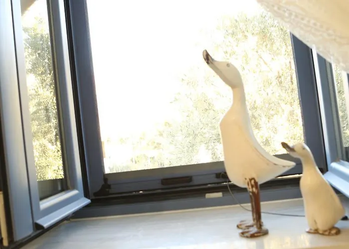 το σπιτάκι To Spitaki τhe Little House Panormos (Kalymnos)